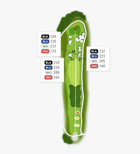 밸리 코스 hole 4 - 68(BLA:244 BLU:235 WHI:217 RED:173),80(BLA:233 BLU:224 WHI:206 RED:162),81(BLA:232 BLU:223 WHI:205 RED:160)