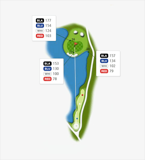 마운틴 코스 hole 8 - 12(BLA:153 BLU:130 WHI:100 RED:78),16(BLA:177 BLU:154 WHI:124 RED:103),28(BLA:157 BLU:134 WHI:102 RED:79),220(BLA:195 BLU:170 WHI:140 RED:102)